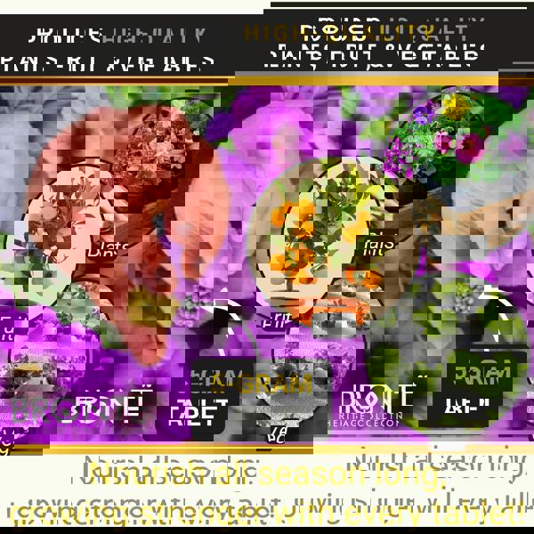 Bronte Heritage Multipurpose Tablets 12pcs – 9-month controlled-release fertiliser with NPK & magnesium for baskets, pots & garden beds