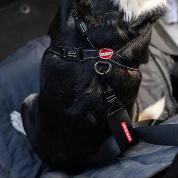 EzyDog Dog Seatbelt Restraint