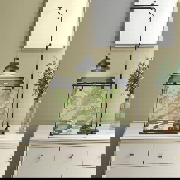 D41-001V00BK