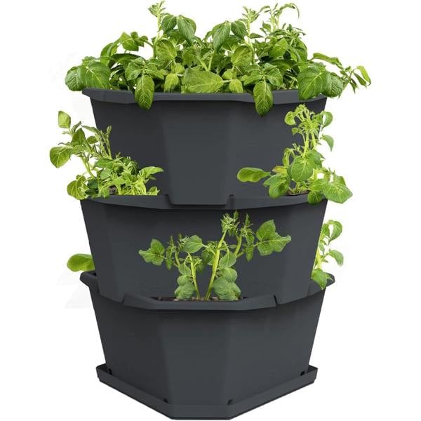PAUL POTATO potato growing tower - Anthracite