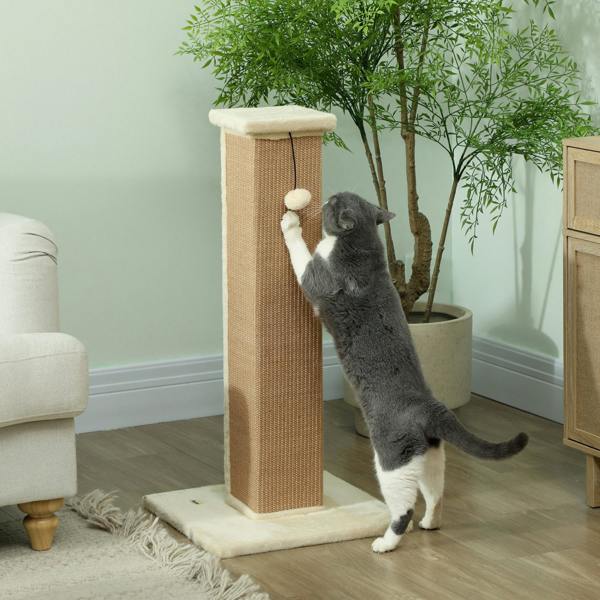 Cat Scratching Post