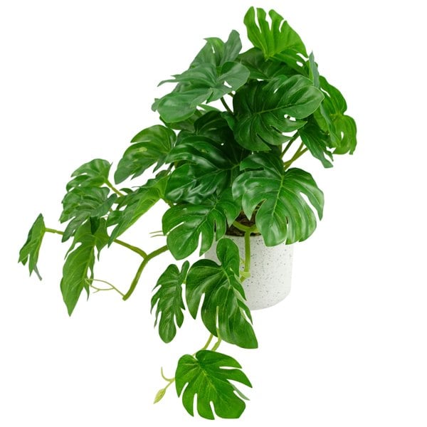 Leaf 30cm Artificial Green Potted Monstera Trailing Plant