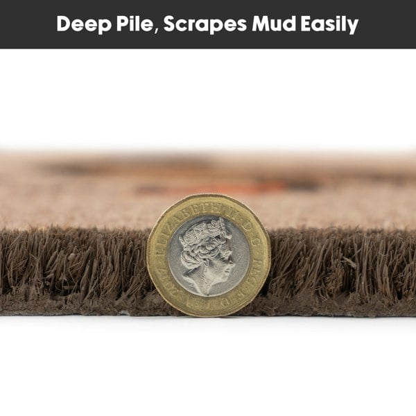 JVL Eco-Friendly Latex Backed Coir Entrance Doormat, 45x75cm - Ducks