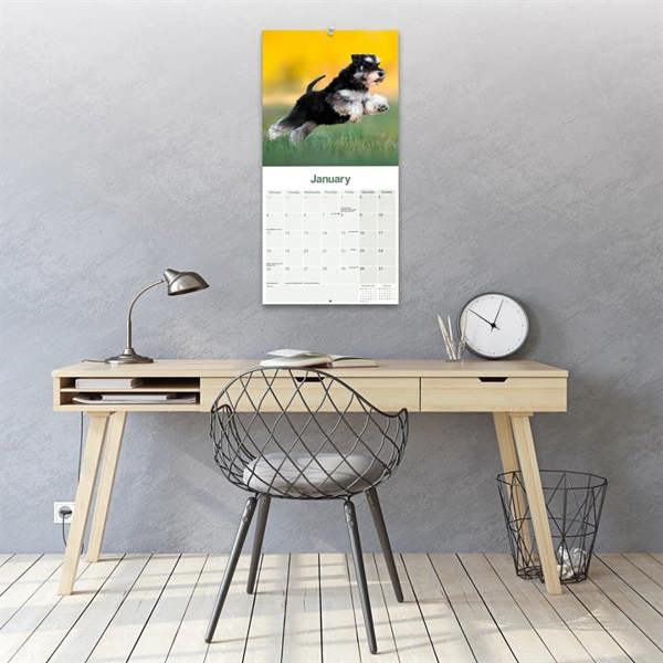 Miniature Schnauzer Calendar 2027, Wall Calendars, Month To View, Dogs, Gift