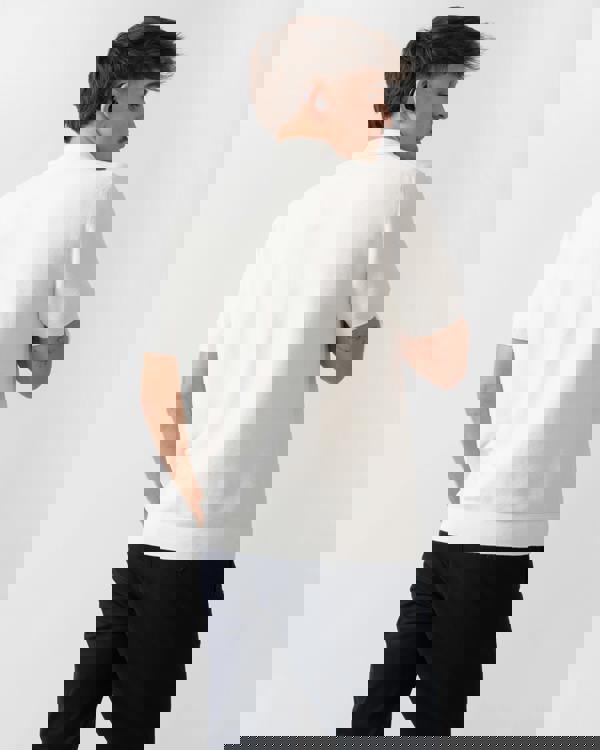 back shot of a model wearing a Lacoste Moss Stitch Cotton Polo Collar Mens Sweater in Flour 70V