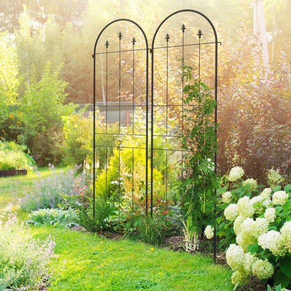 Garden Arbor
