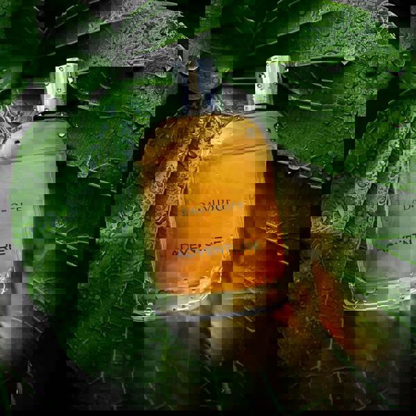 Davidoff Adventure Eau de Toilette Spray For Him 100ml - Additional 3