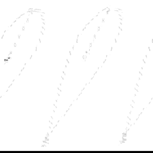 Racing Pigeon Silver Necklace - Personalised - MYLEE London