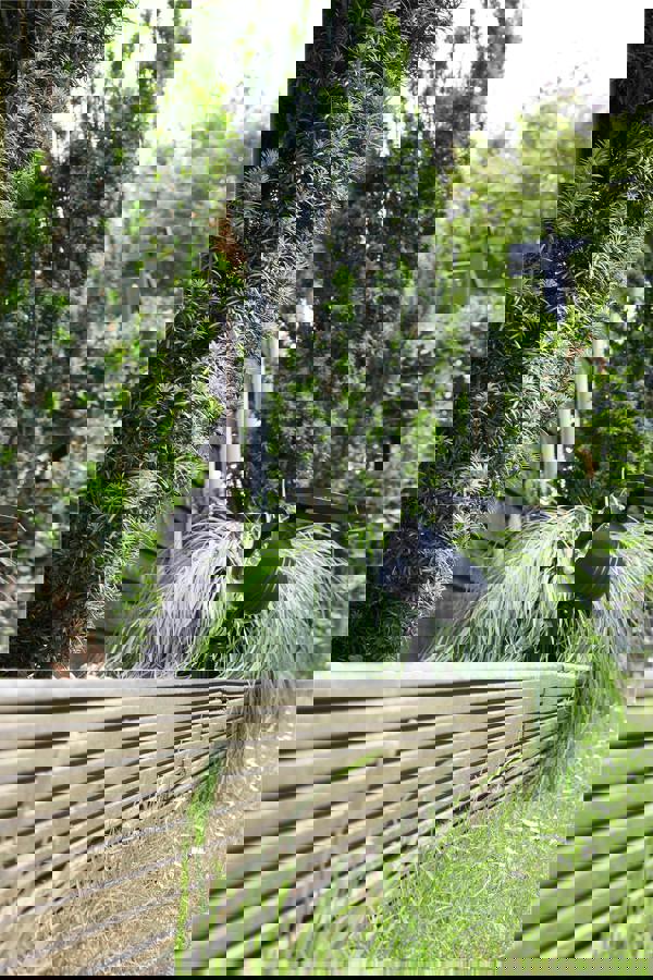 Luxform Lupus Intelligent Solar Led Spotlight 50 Lumen