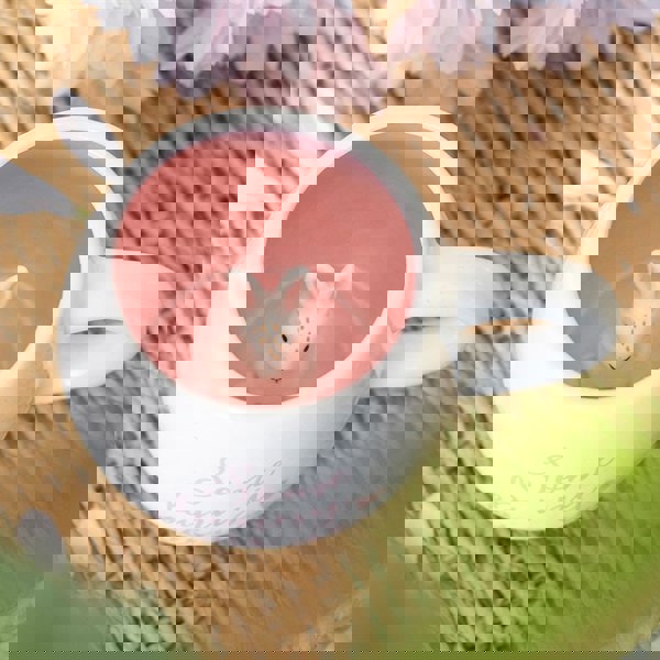 Serano Some Bunny Loves You Peekaboo Mug