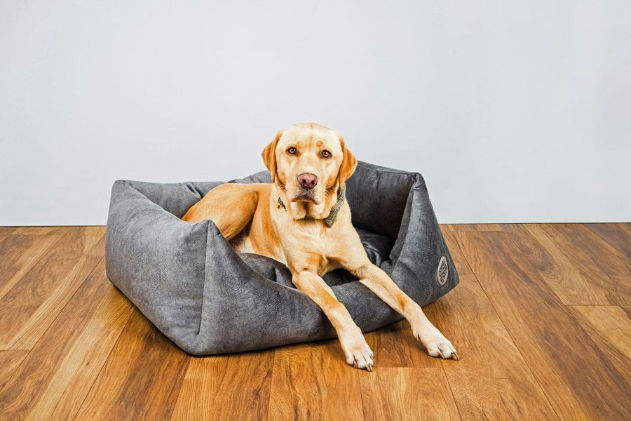 Snug and Cosy Pets Velour Dog Bed