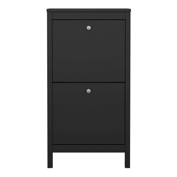 Wyld Haus Gossmere Matt Black Shoe Cabinet 2 Doors