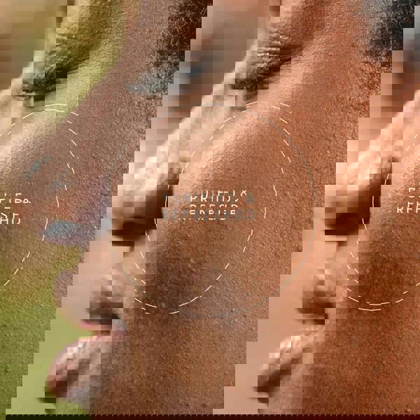 Fushi Herbal & Vitamin Blends Turmeric C3 & Bioperine Extract x 60 Capsules - Additional 5