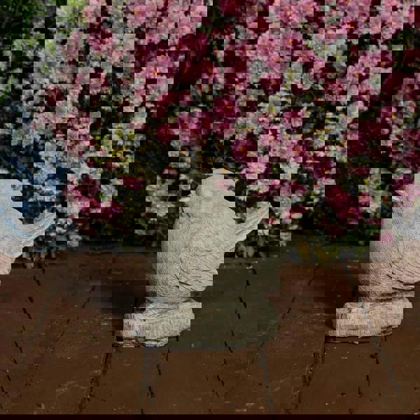 Adorable and Charming Stone Cast Robin Ornament 