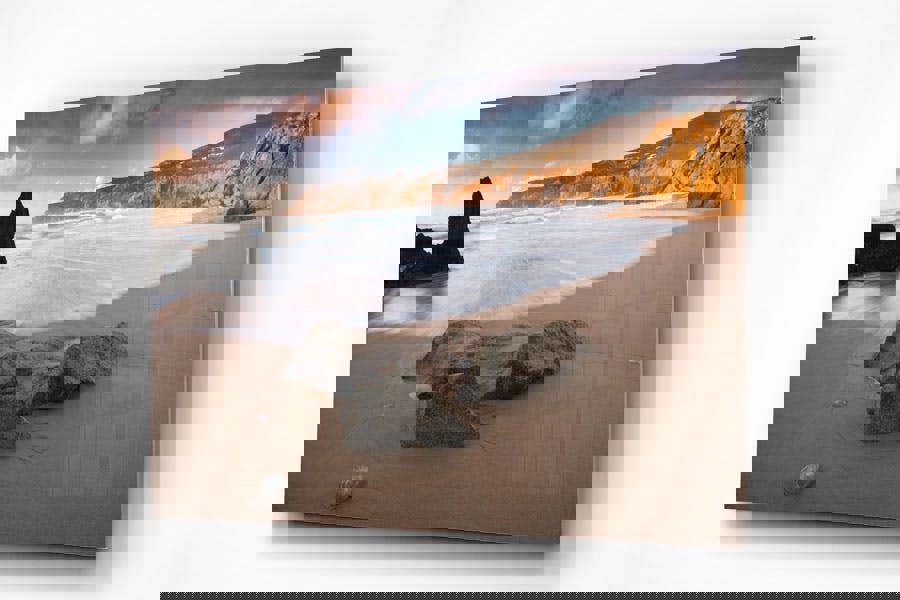 jellyfish on beach wall art