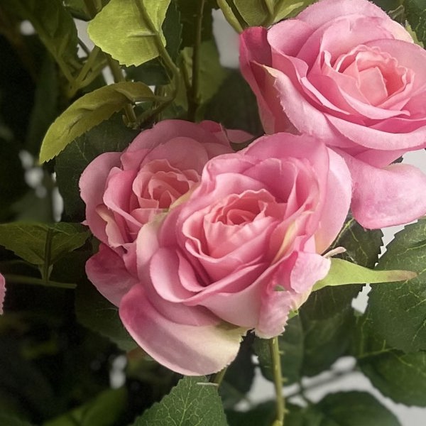 Botanik 60cm Premium Rose Bush Pink Silk Flowers and Leaves