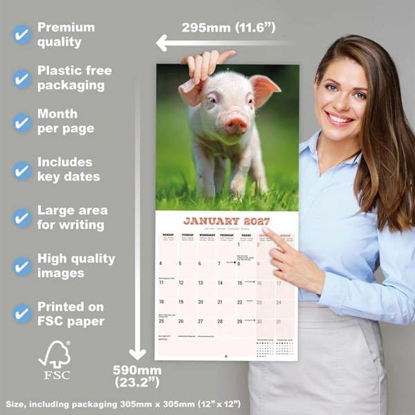 Pigs Calendar 2027, Wall Calendars, Month To View, Animals, Gift