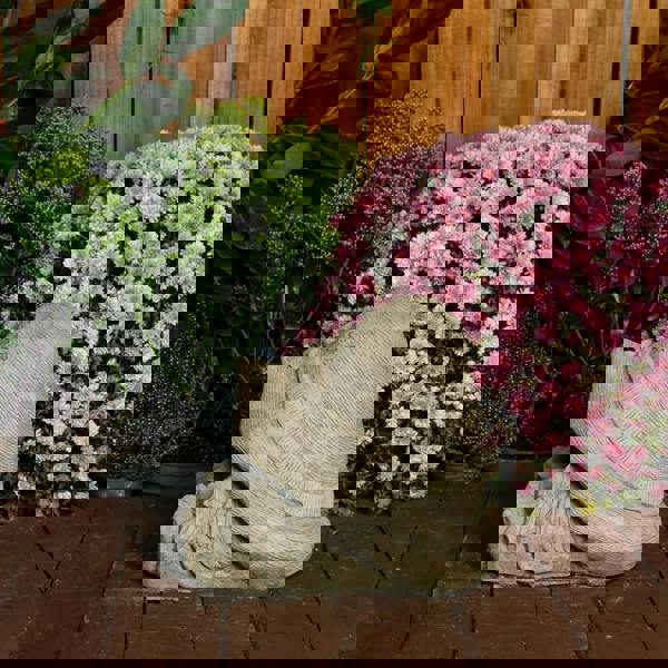 Stone Cast Flower Power Gnome Fairy Statue