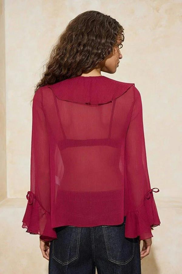 WOVCOR Ruffled Detail Transparent Chiffon Woven Blouse