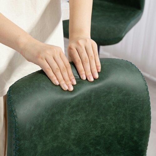 Wyld Haus Kekero Set Of 2 Green Faux Leather Counter Bar Chairs With Back And Footrest