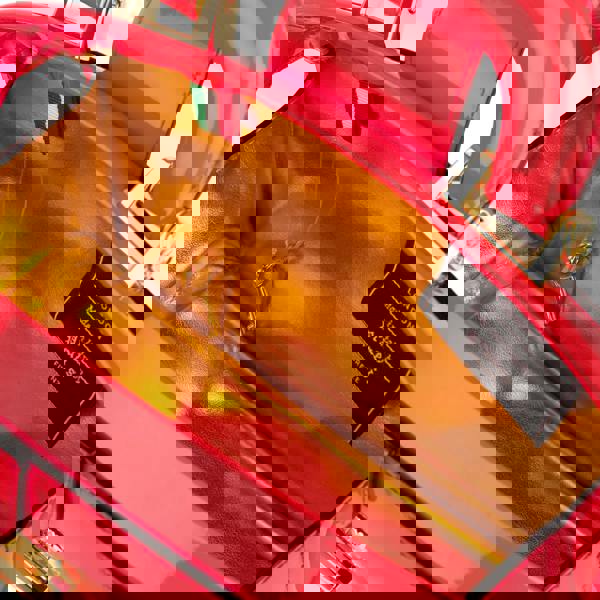 Embassy London Gazelle Mini - Hot Pink - Women’s mini leather top handle & crossbody bag