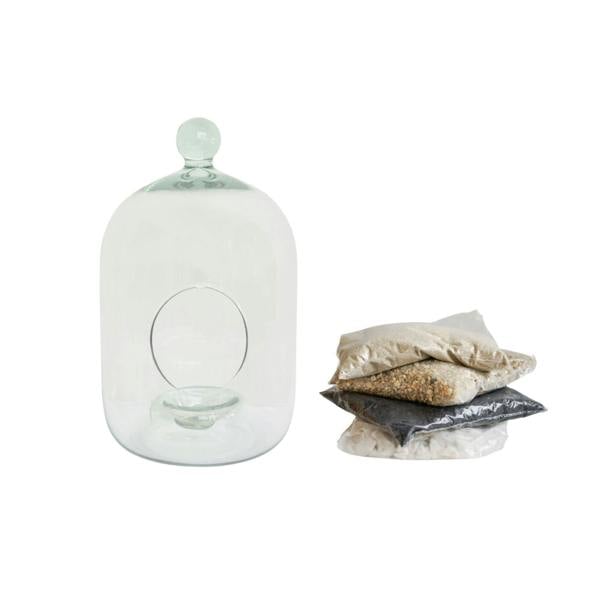 Ivyline Glass Bell Jar Open Terrarium