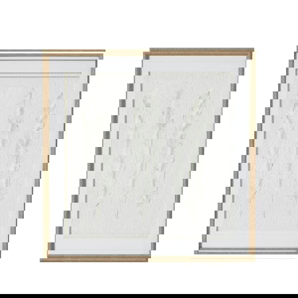 Hill Interiors Solli Feathers Framed Art Print - Brown/Grey/White