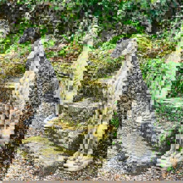 Stunning Pair of Large Sitting Greyhounds Statues