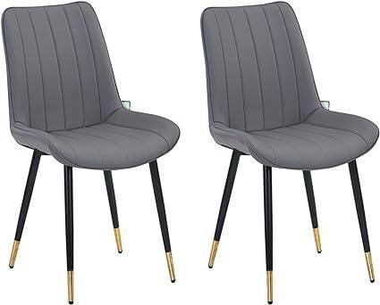 HYGRAD BUILT TO SURVIVE Faux Leather Dining Chairs, Padded – Set of 2 | HYGRAD®