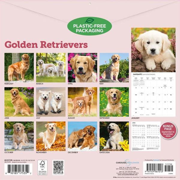 Golden Retrievers Calendar 2027, Wall Calendars, Month To View, Dogs, Gift