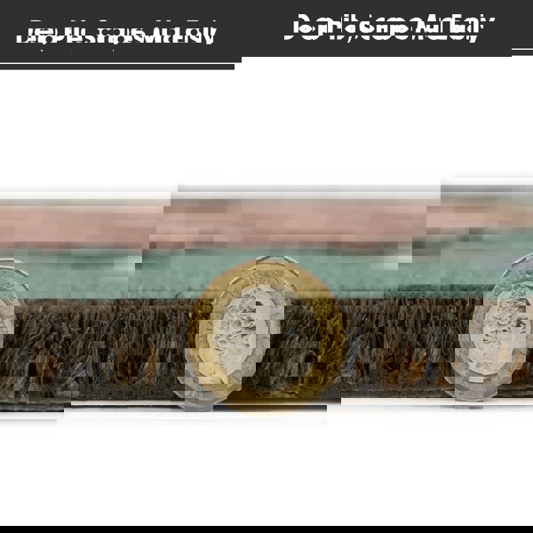 JVL Eco-Friendly Latex Backed Coir Entrance Doormat, 45x75cm - Hedgehog