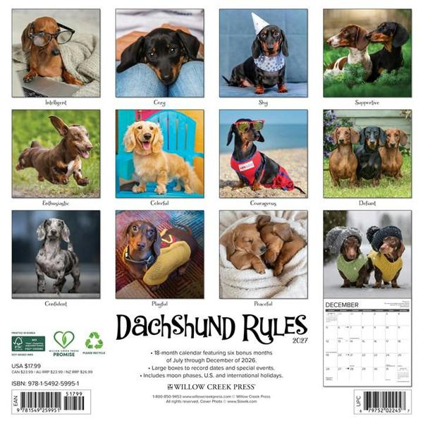 Dachshund Rules Calendar 2027, Wall Calendars, Month To View, Dogs, Gift