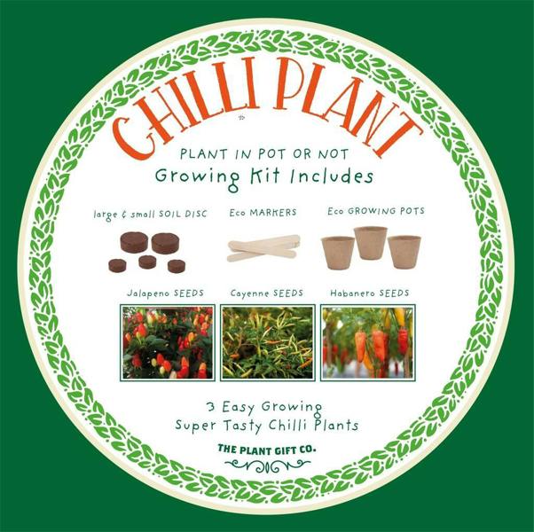 Red Hot Chilli's Eco Grow Your Chilli Plant - close-up detail