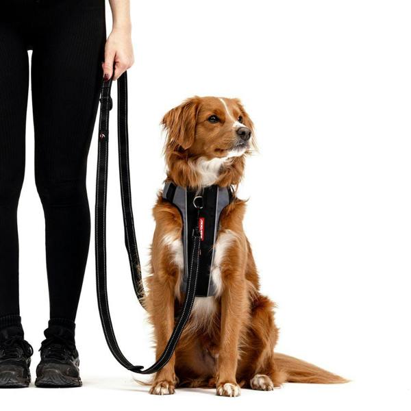 EzyDog Vario 6 Multifunctional Dog Lead in Black