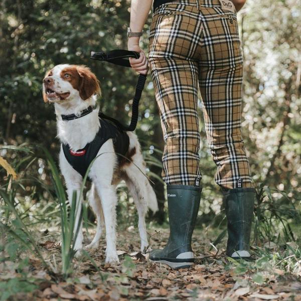 EzyDog Thermax Vest