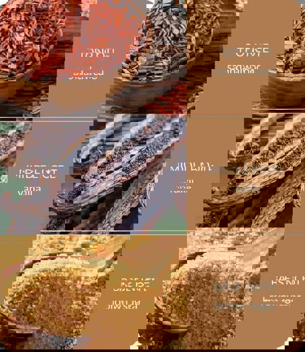 Heart & Home Sandalwood & Vanilla 2 Wick Ellipse Candle