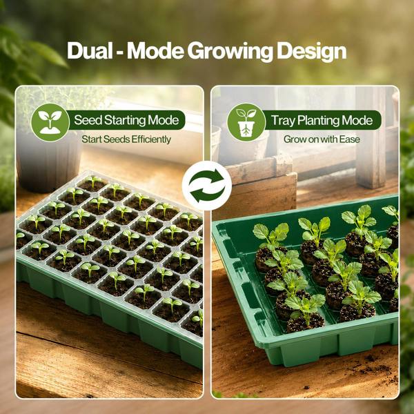 TOQUE Seed Trays 5Pc Clear View With Lids 40 Cell Propagators For Plants Green
