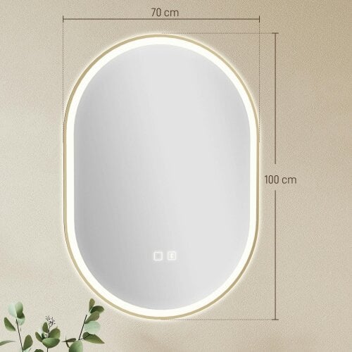 HOMCOM LED Bathroom Mirror, 100x70cm Oval Bathroom Mirror, Gold Tone