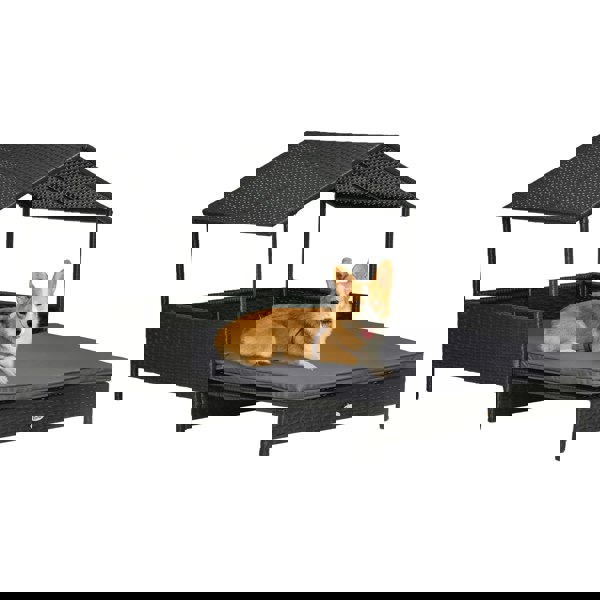 D02-185V70GY