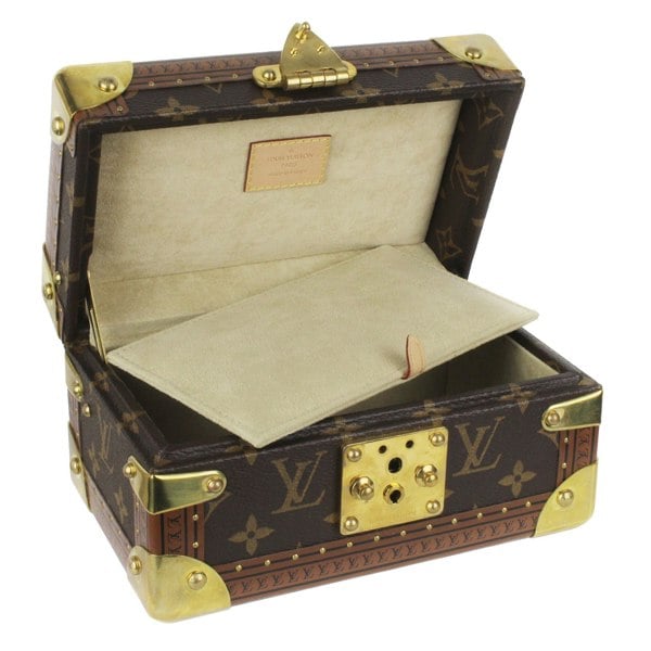 Louis Vuitton Case