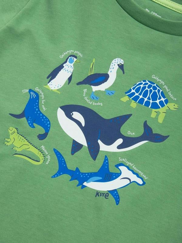 Kite Boys Organic Galapagos T-Shirt