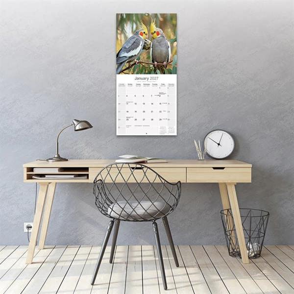 Cockatiels Calendar 2027, Wall Calendars, Month To View, Animals, Gift