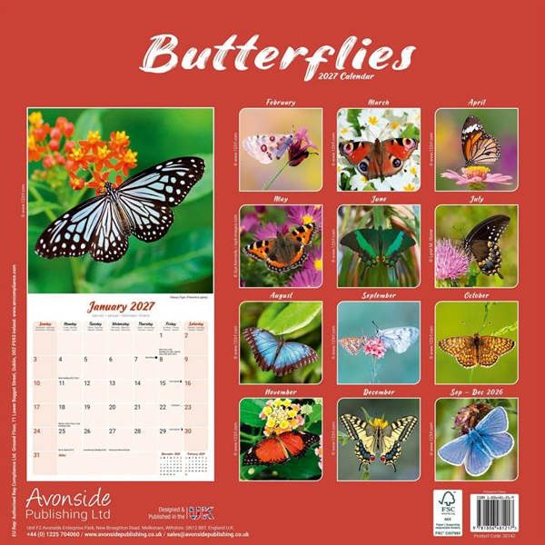 Butterflies Calendar 2027, Wall Calendars, Month To View, Animals, Gift
