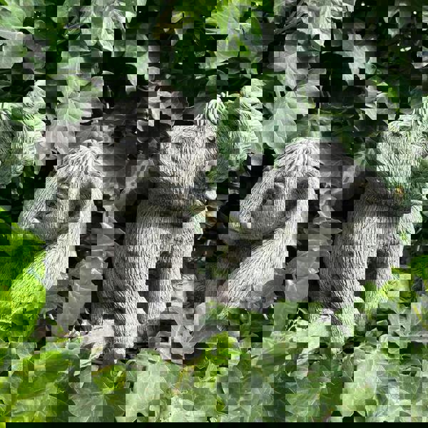 Adorable Baby Mammoths Duo Manny and Ellie Elephants