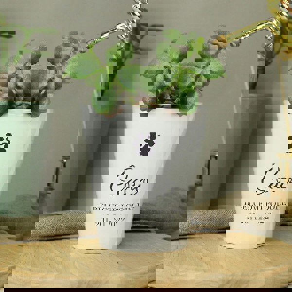 Personalised Memento Company Personalised Paw Print Plant Pot