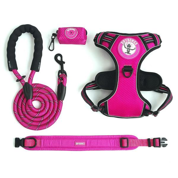 DRYBONES Dog Collar