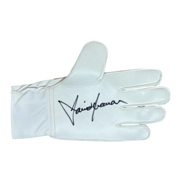 Unbranded David Seaman signed Adidas goalkeeper glove — Goalkeeper glove framing