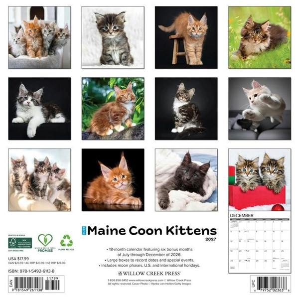 Just Maine Coon Kittens Calendar 2027, Wall Calendars, Month To View, Cats, Gift