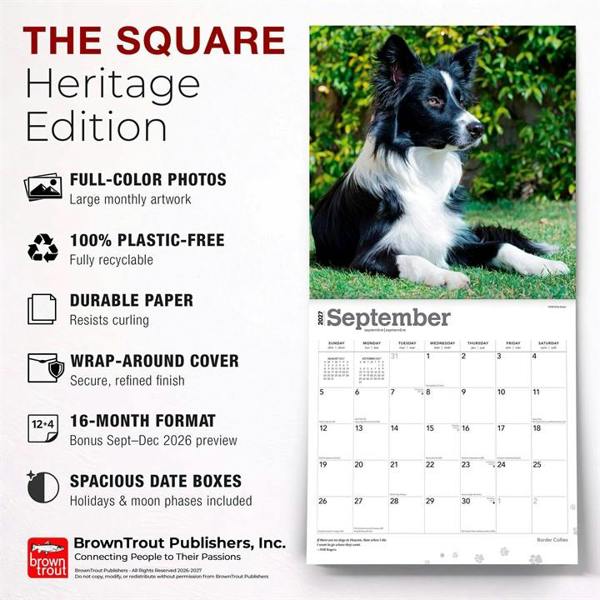 Border Collies Calendar 2027, Wall Calendars, Month To View, Dogs, Gift