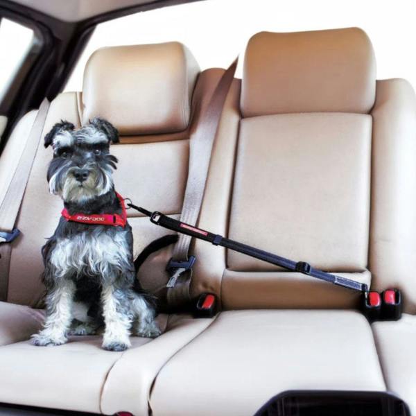 EzyDog Click Dog Seatbelt